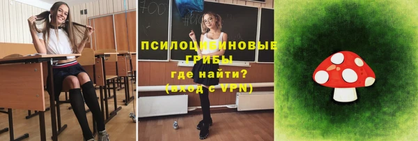 таблы Осинники